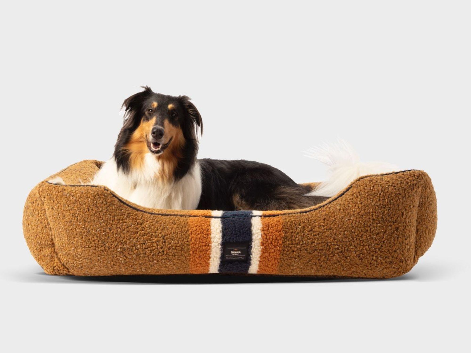 Shinola x Carolina Pet Company