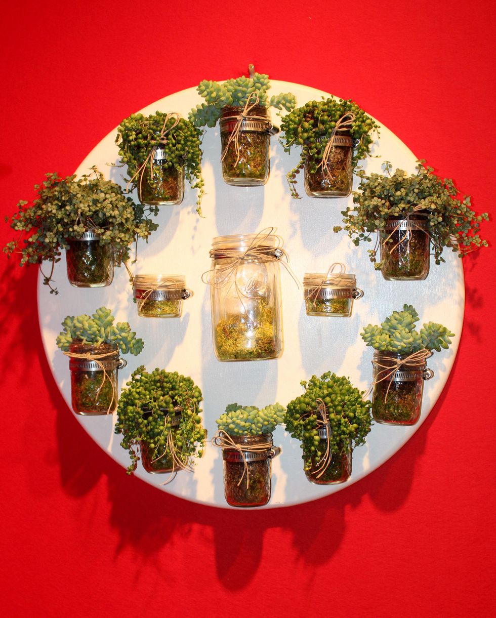 sissy's southern kitchen, lisa garza, diffa wreath collection