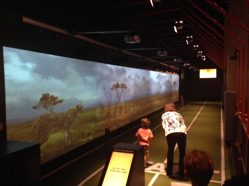 Sports run in Lamar Hunt Family Sports Hall