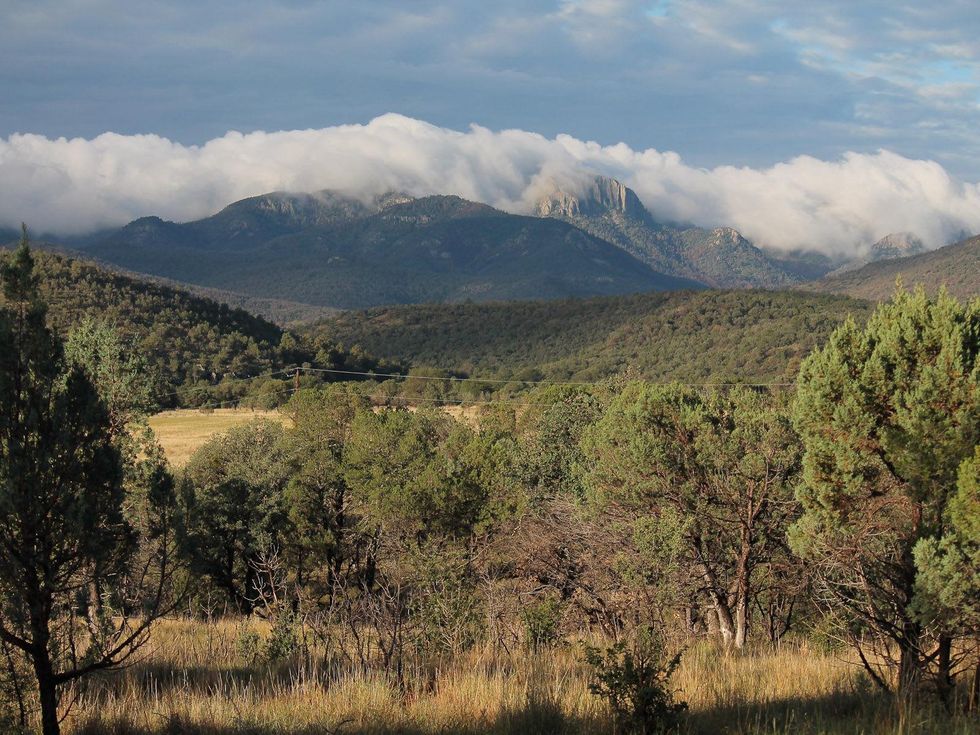 Stephan, Davis Mountains, September 2012, View of Mt. Livermore, the highest peak in the Davis Mountains