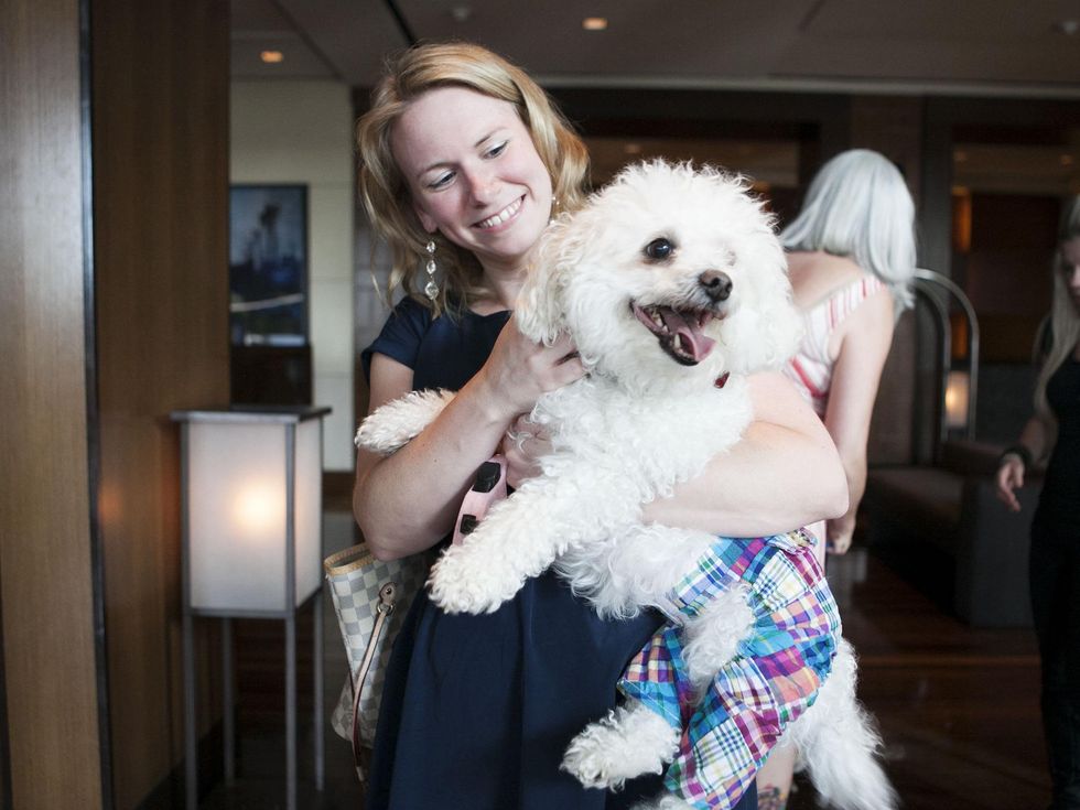 Stephanie Thornhill, Baxter, Hotel Palomar, SPCA