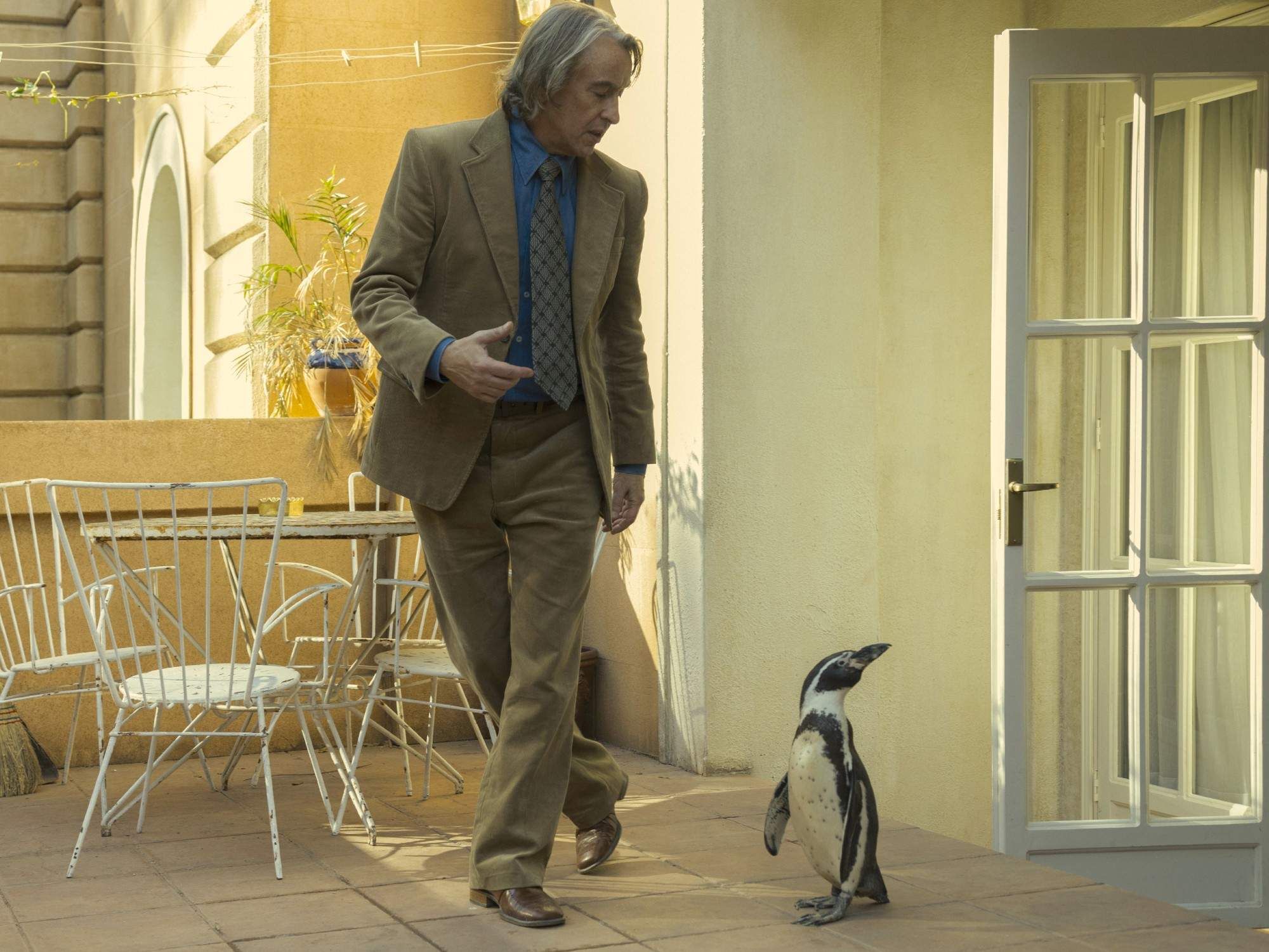 Steve Coogan in The Penguin Lessons