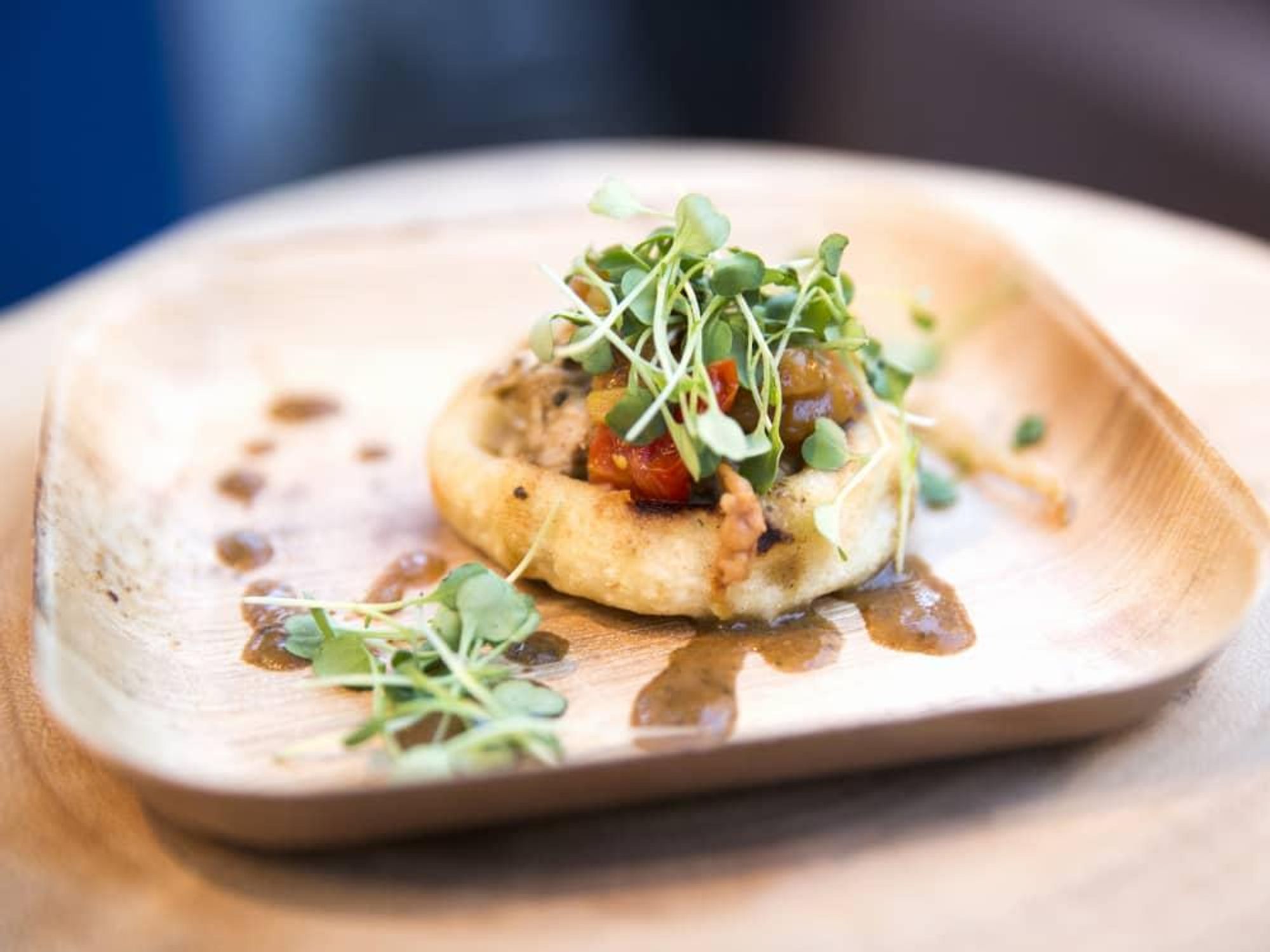 TACA Party on the Green, 2016