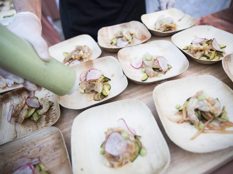 TACA Party on the Green, 2016