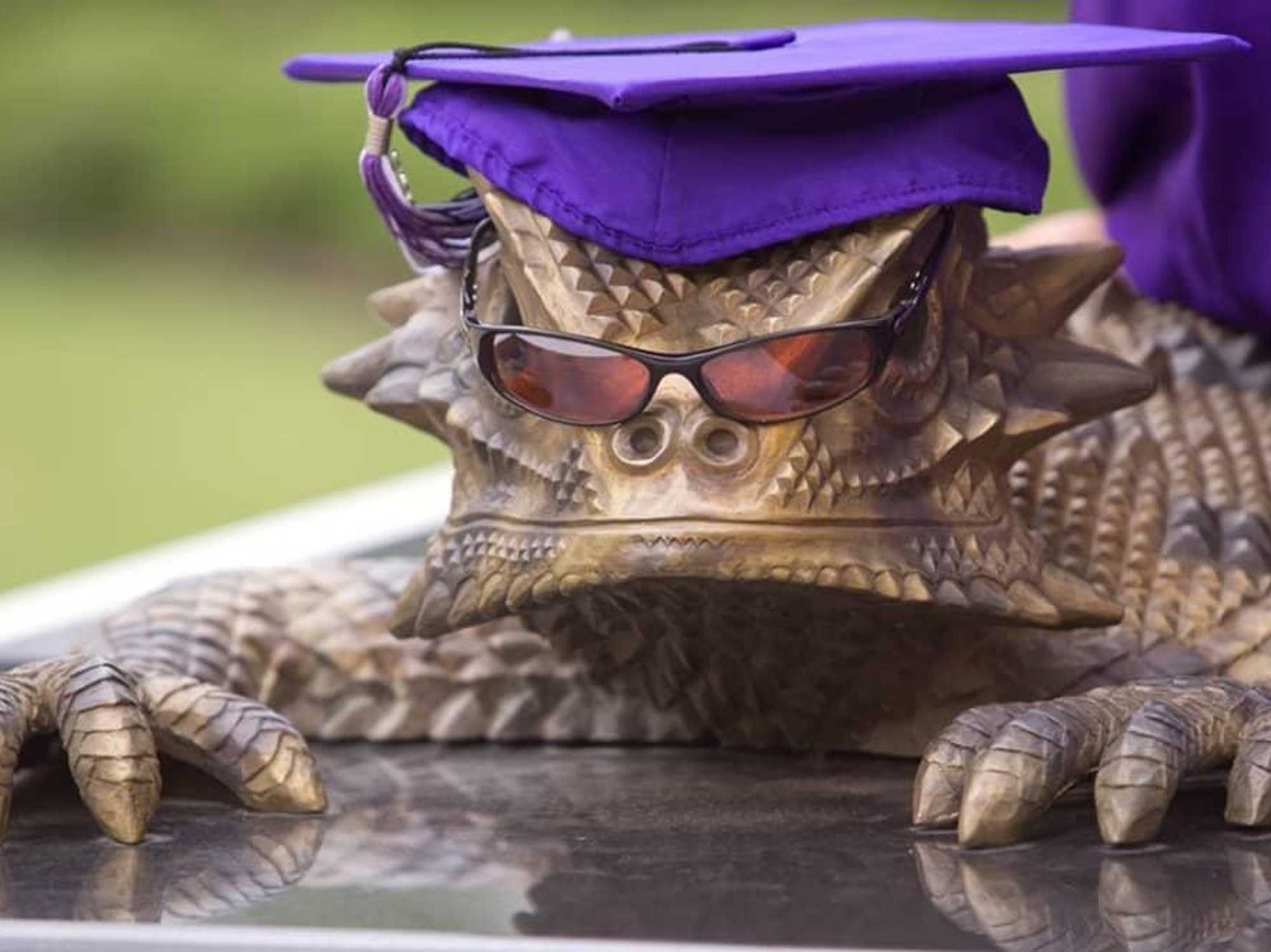 TCU Horned Frog