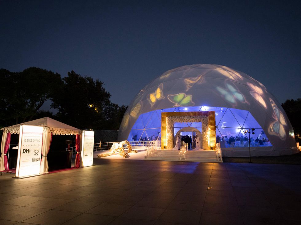 Ten Years of Todd Celebration