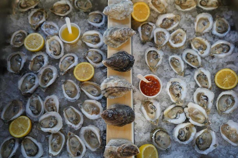 Texas Clear Water Oyster Gardens