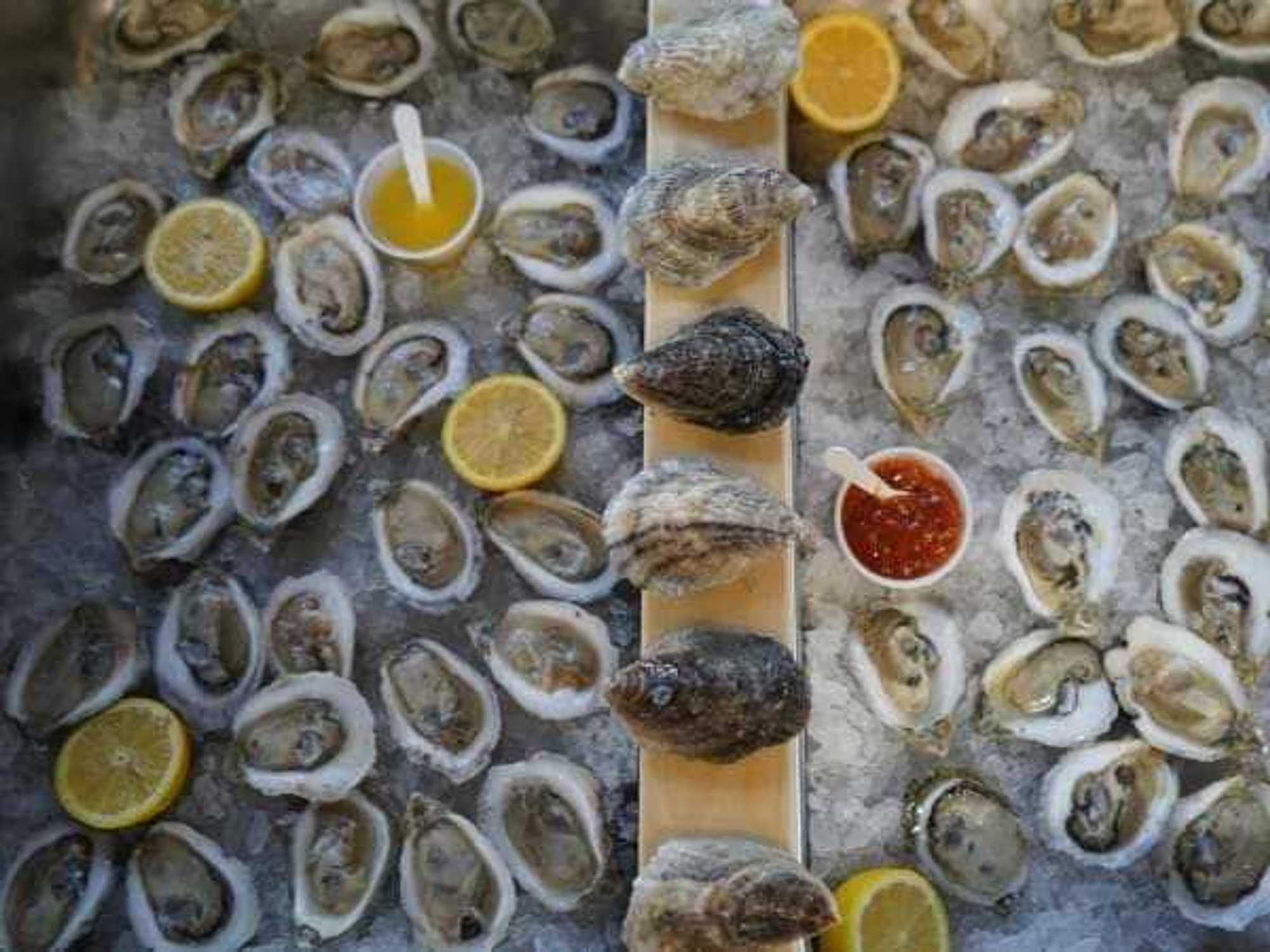 Texas Clear Water Oyster Gardens