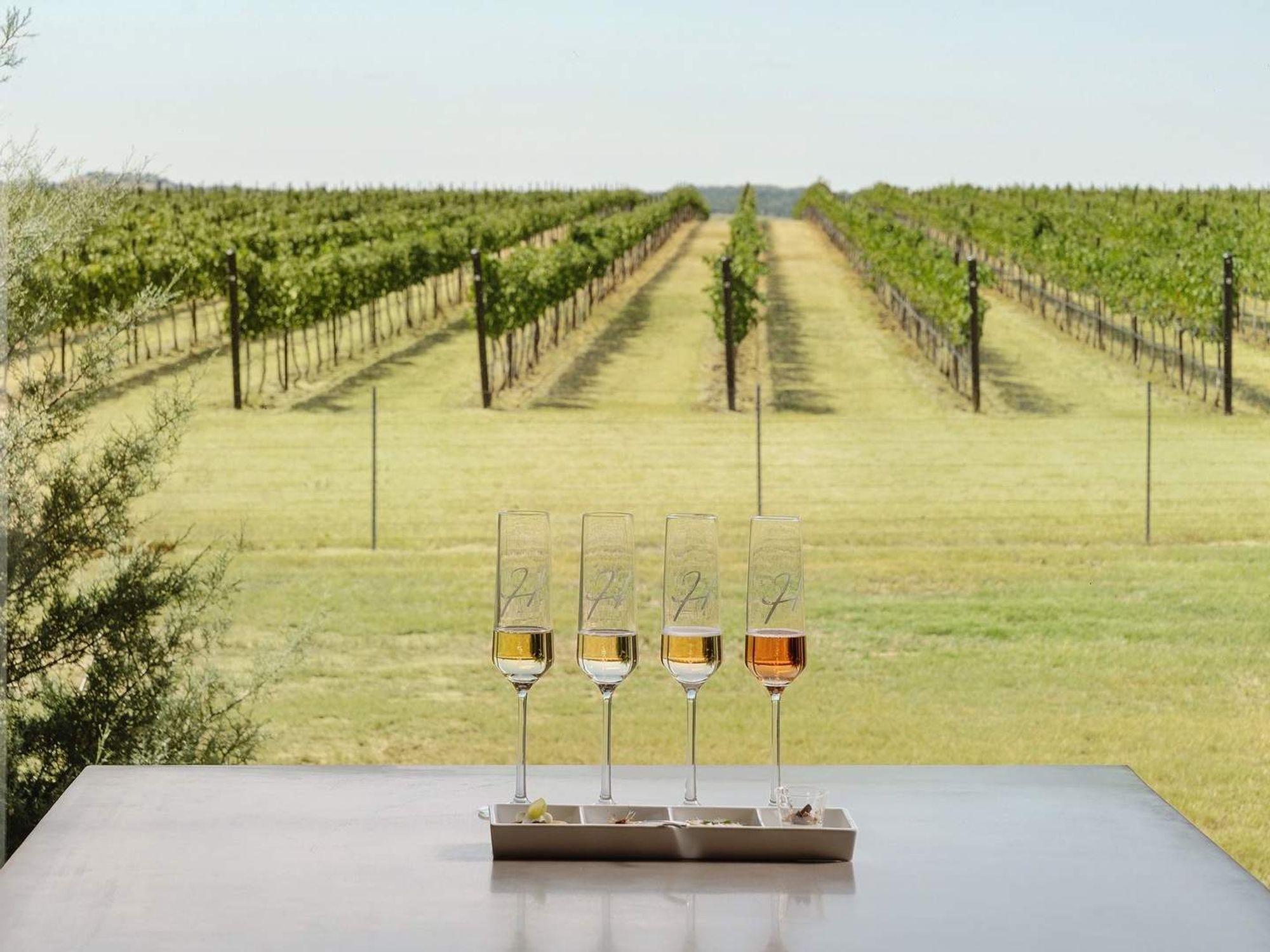 Texas Hill Country Wineries