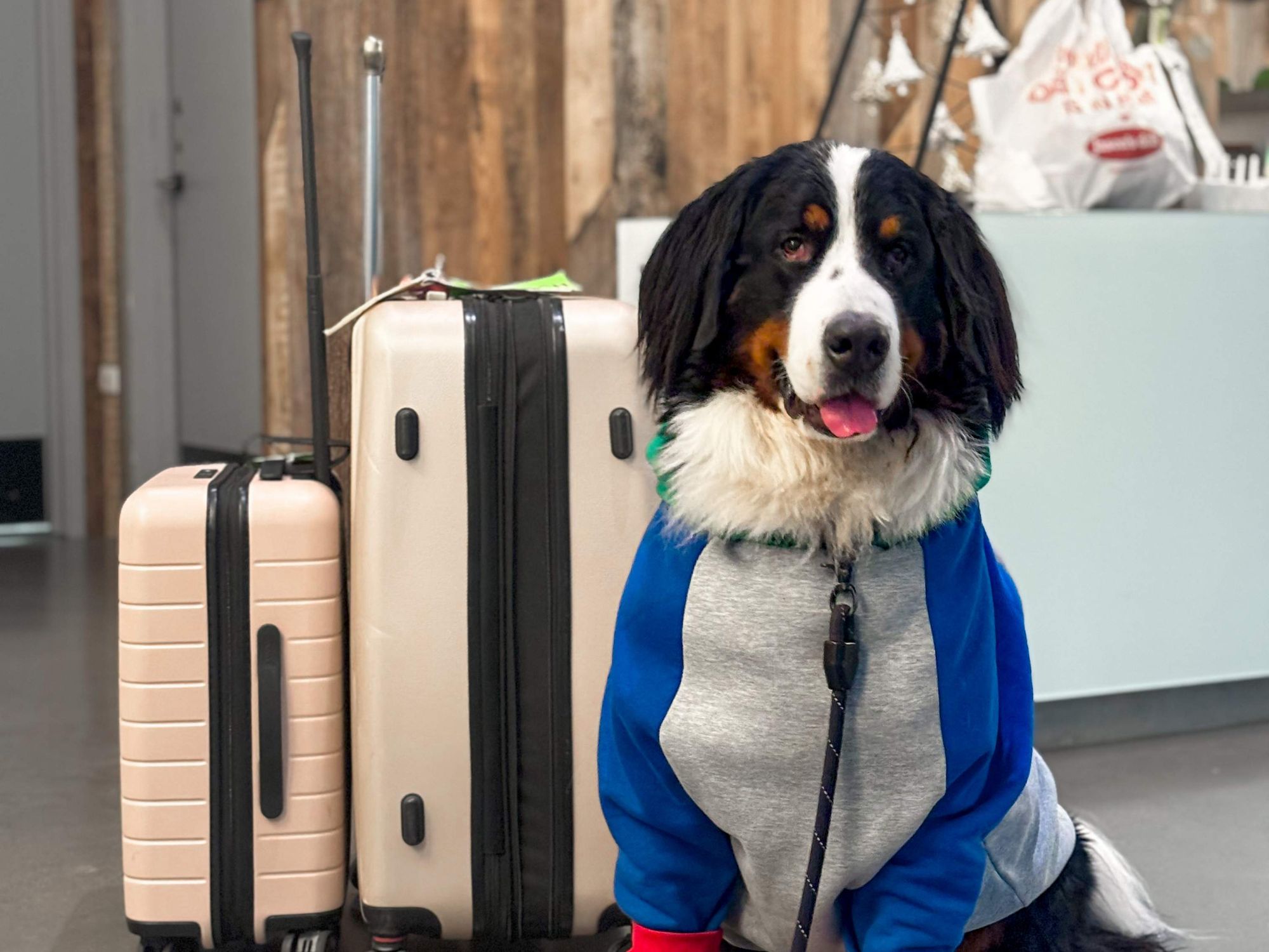 The Kimpton Pittman Hotel