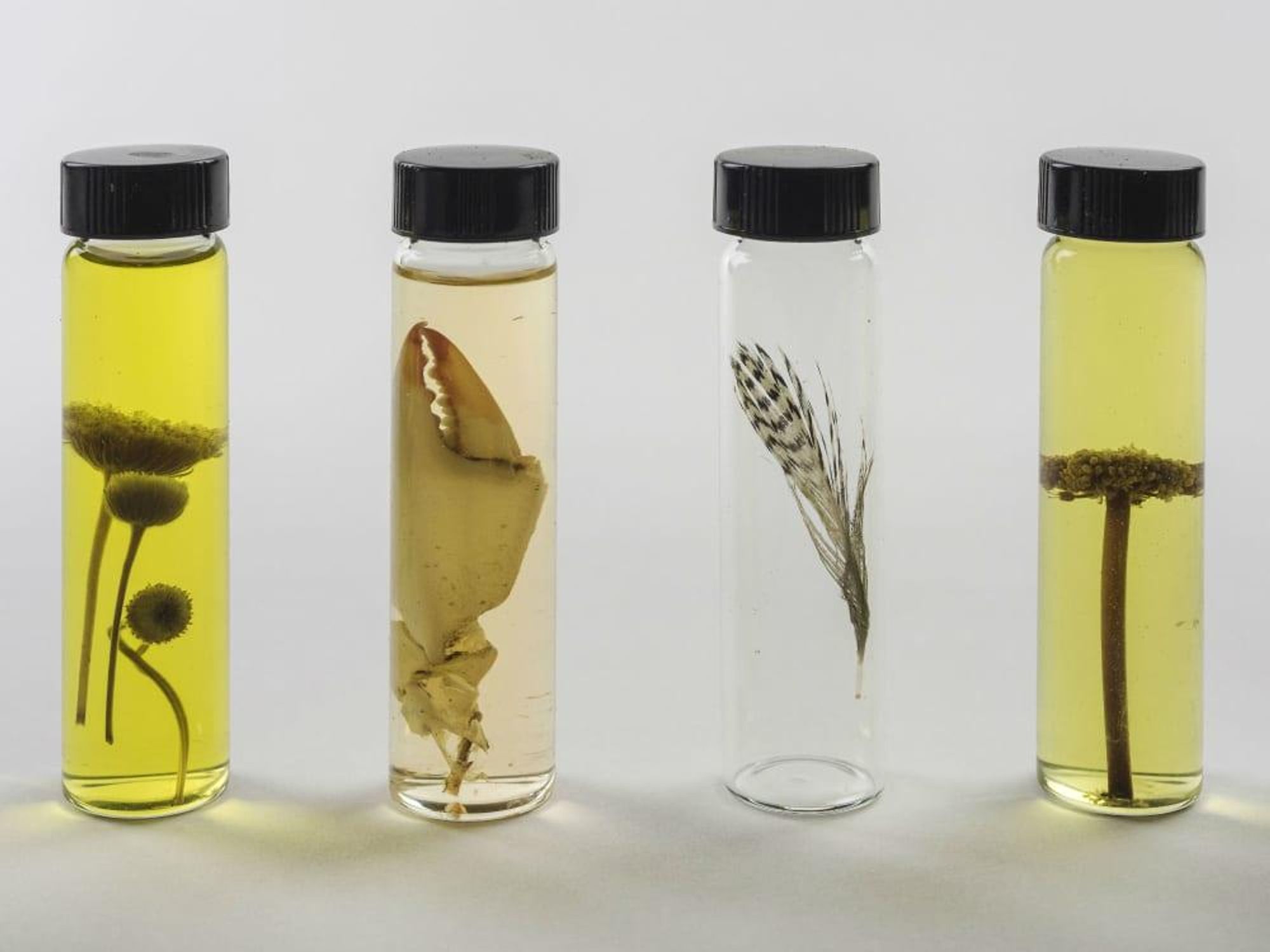 The Perilous Texas Adventures of Mark Dion