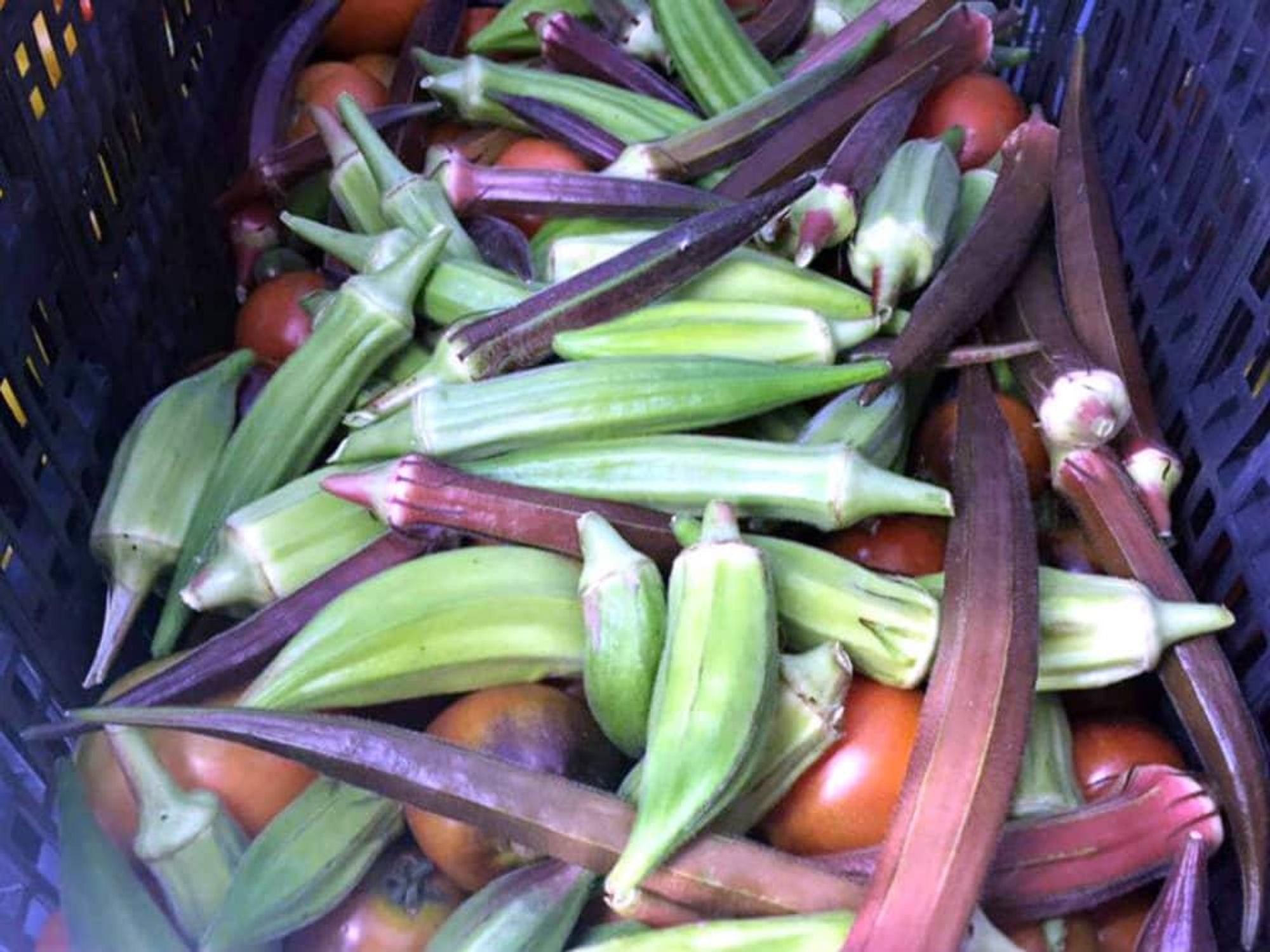 The Stock Exchange grocery store in Dallas