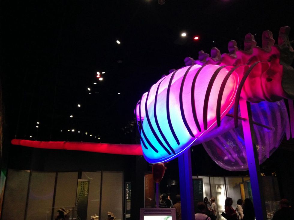 dinosaurs at perot museum