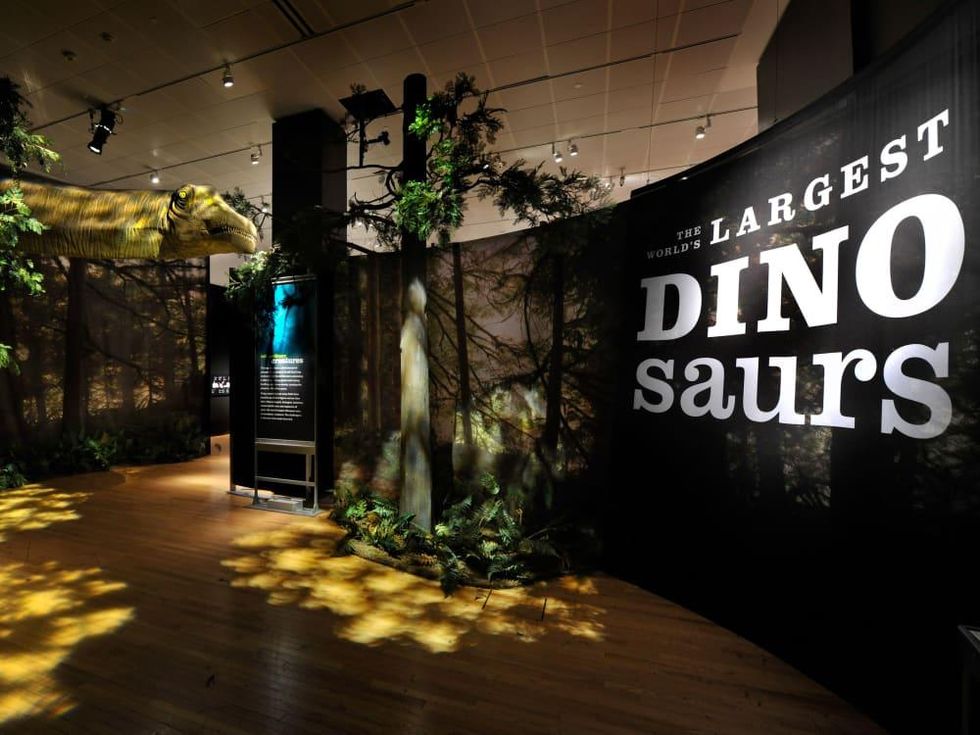 The World's Largest Dinosaurs