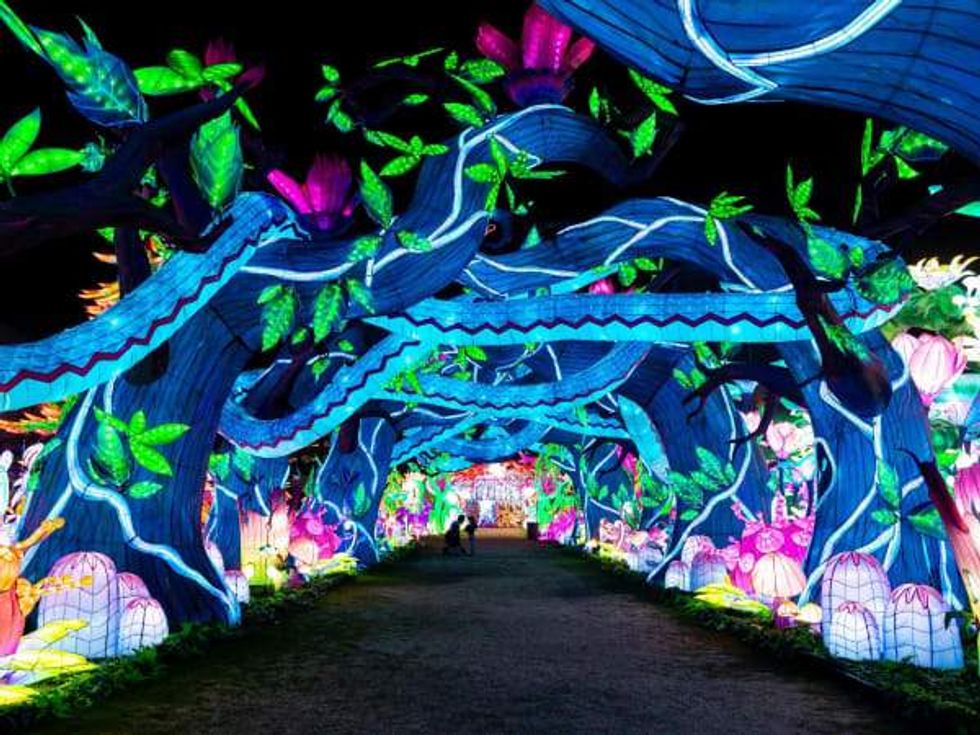 Tianyu Lights Festival