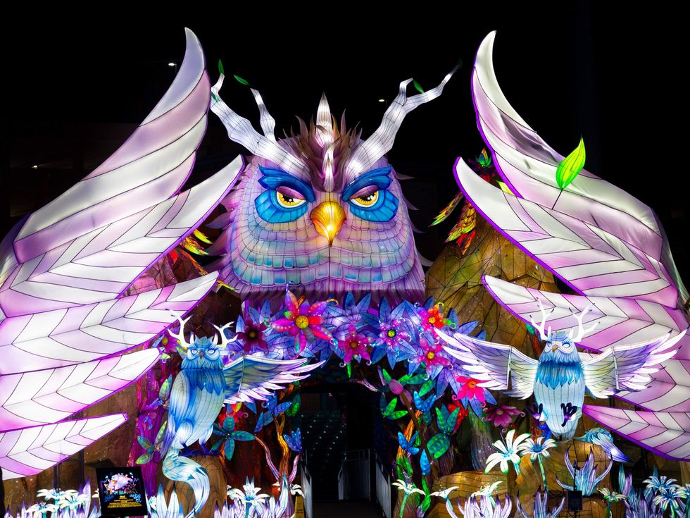 Tianyu Lights Festival