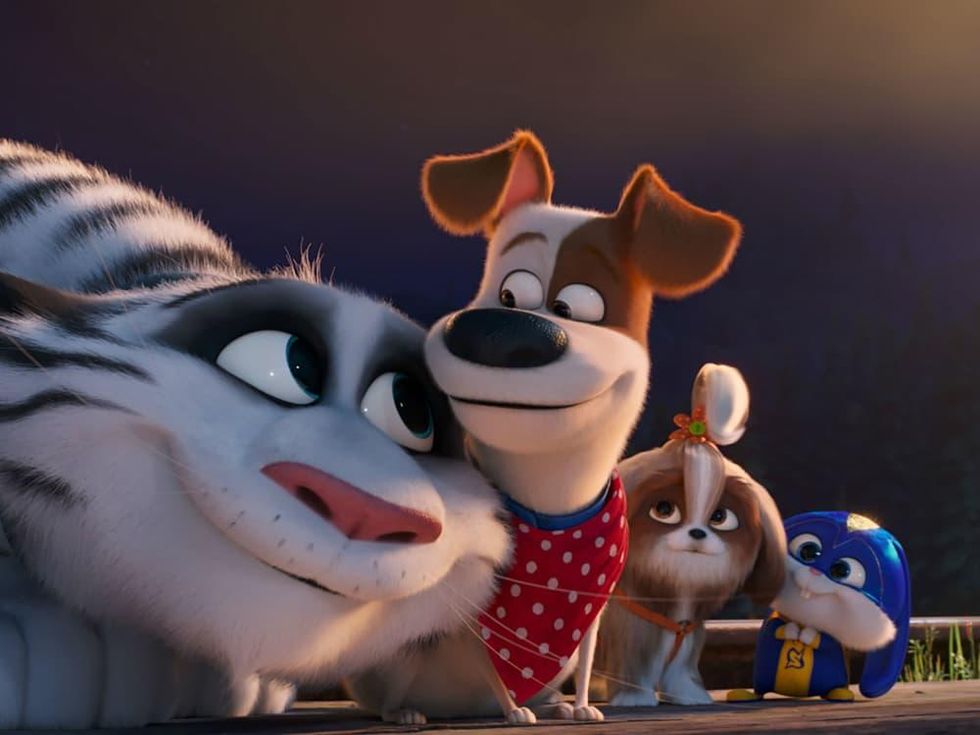 Tiger, Max (Patton Oswalt), Daisy (Tiffany Haddish), and Snowball (Kevin Hart) in The Secret Life of Pets 2