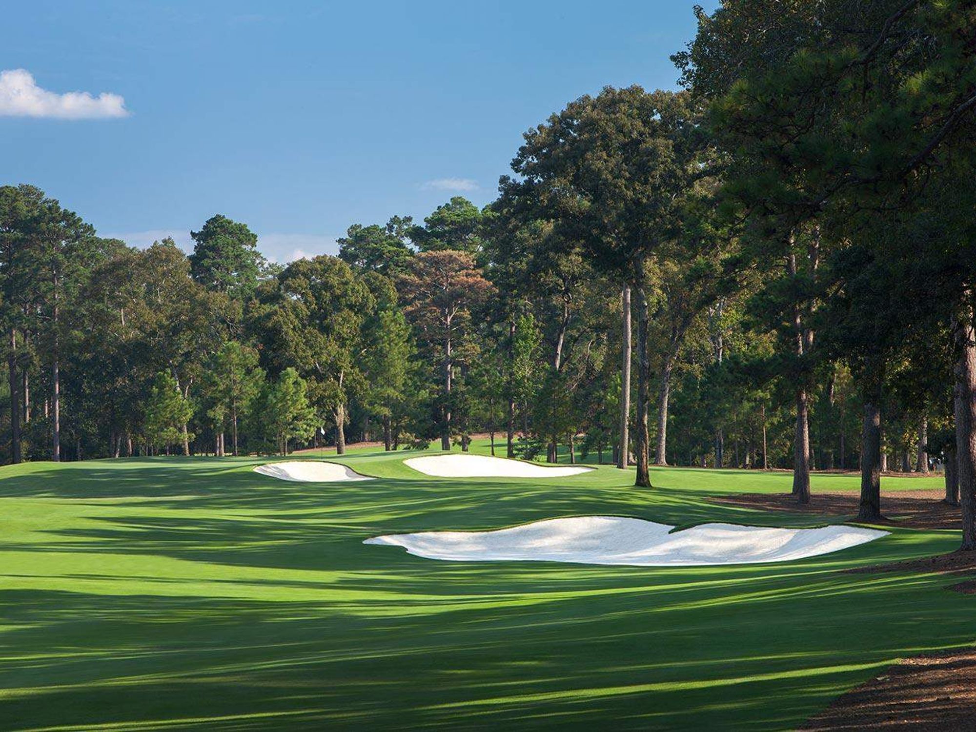 Tiger Woods Bluejack National