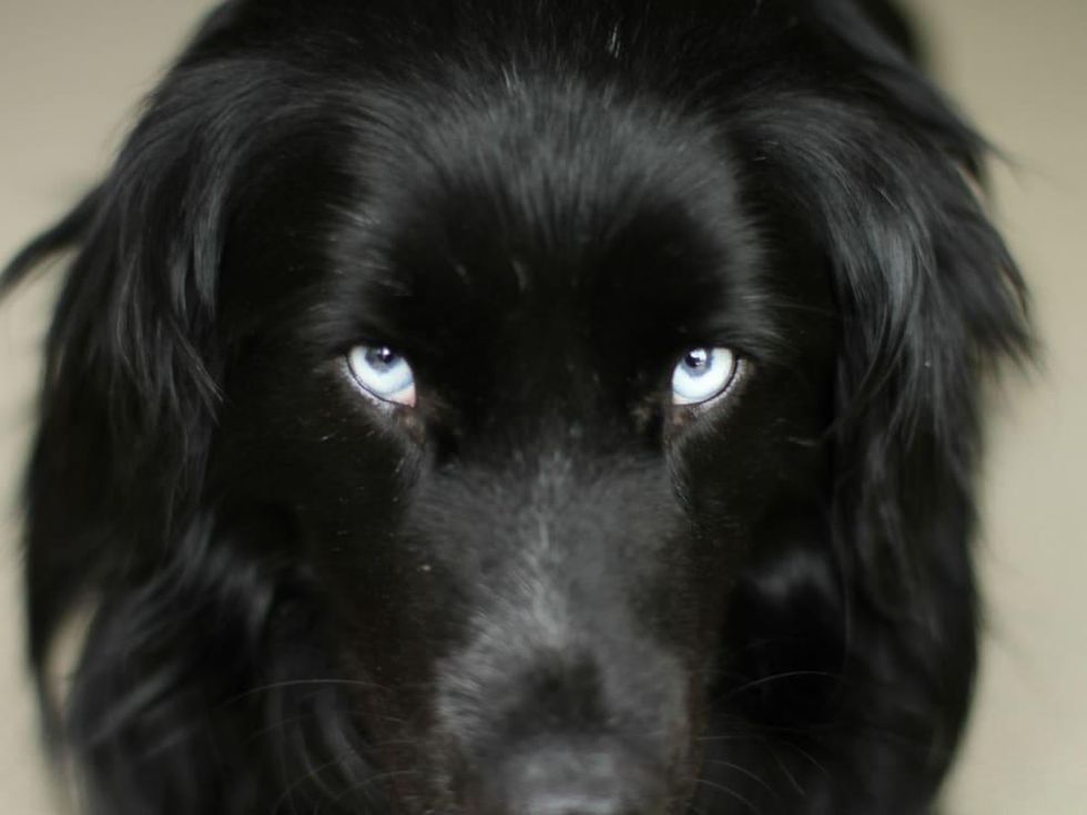 Todd in The Biggest Little Farm