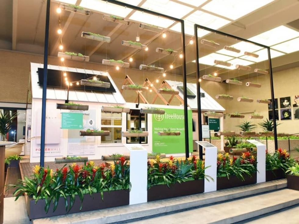 Treehouse home of the future NorthPark