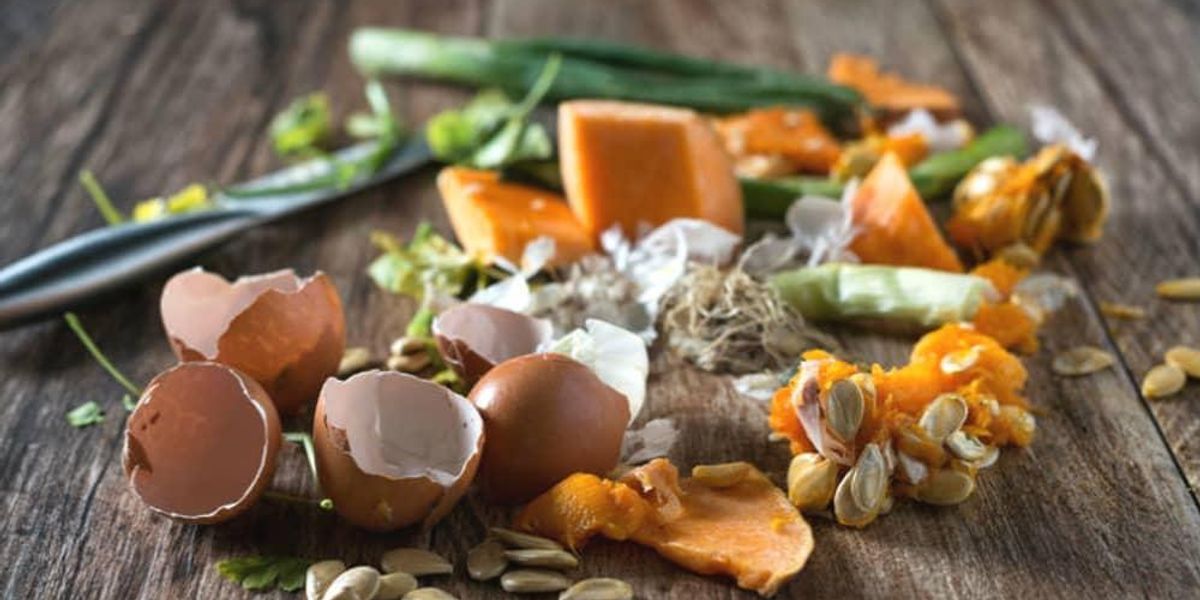 Dallas composting firm launches innovative pilot program at Whole Foods ...