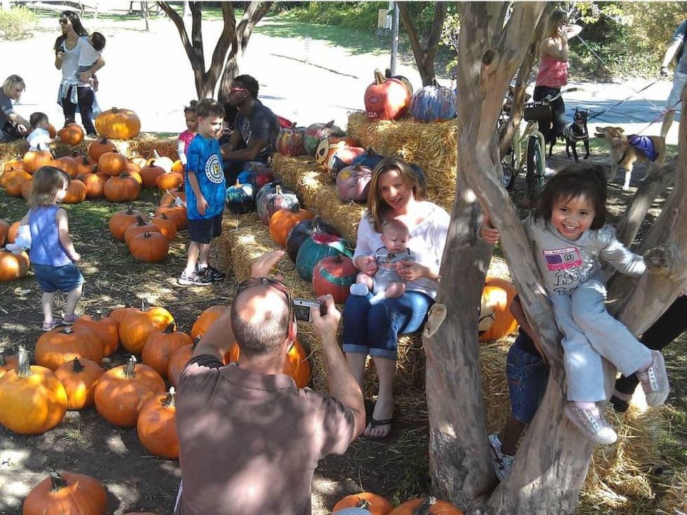 Turtle Creek Association presents Pumpkins in the Park