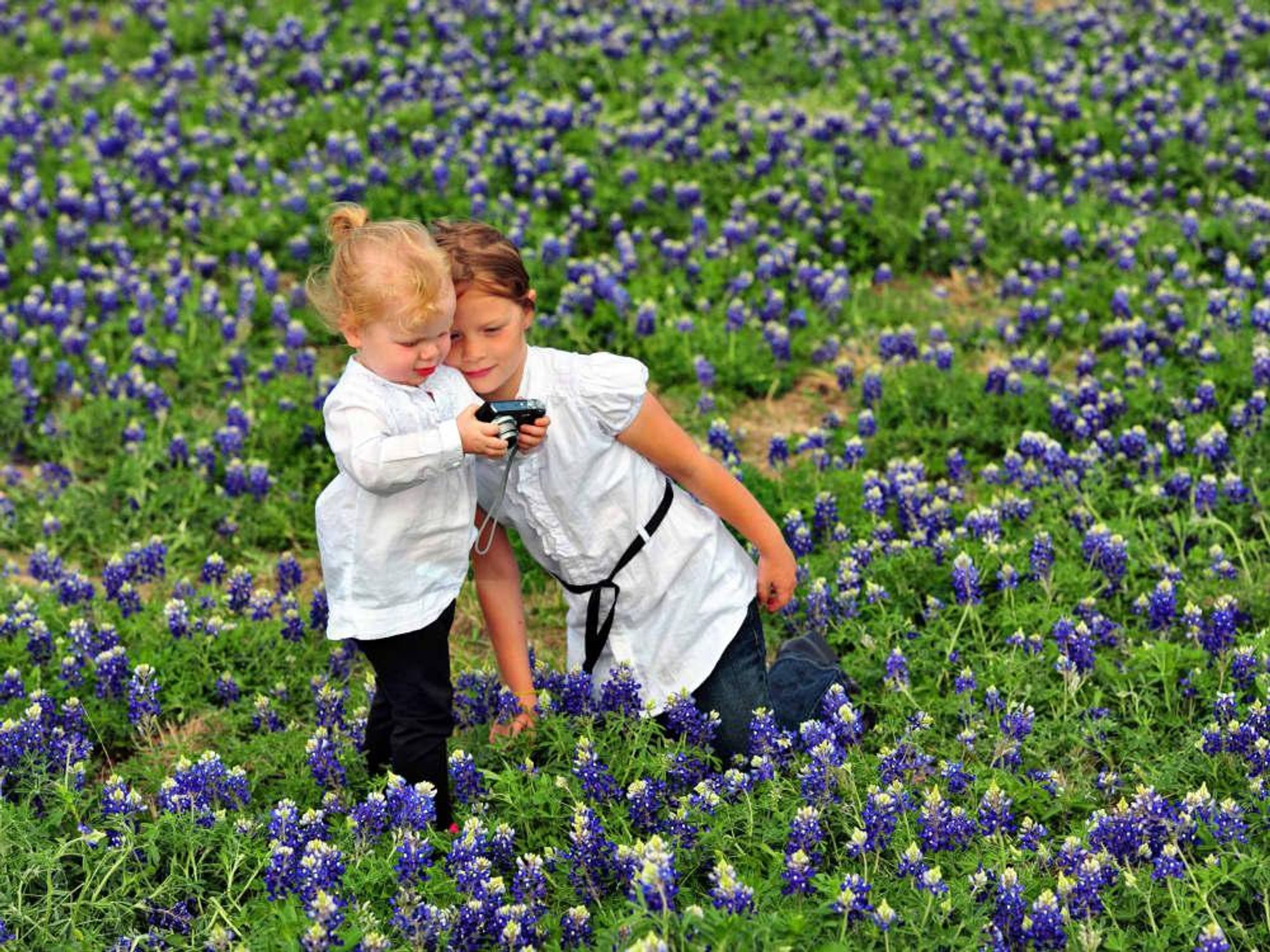 Two little girls in a bluebonnet field