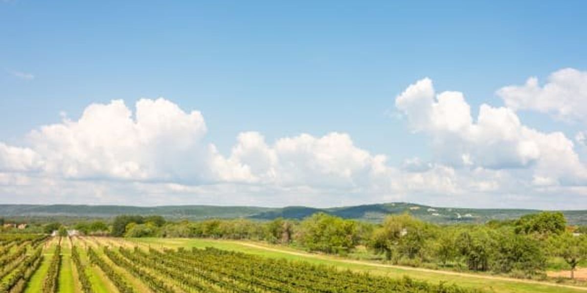 The renowned winemaker from Texas elevates the Hill Country town with a new winery and tasting room