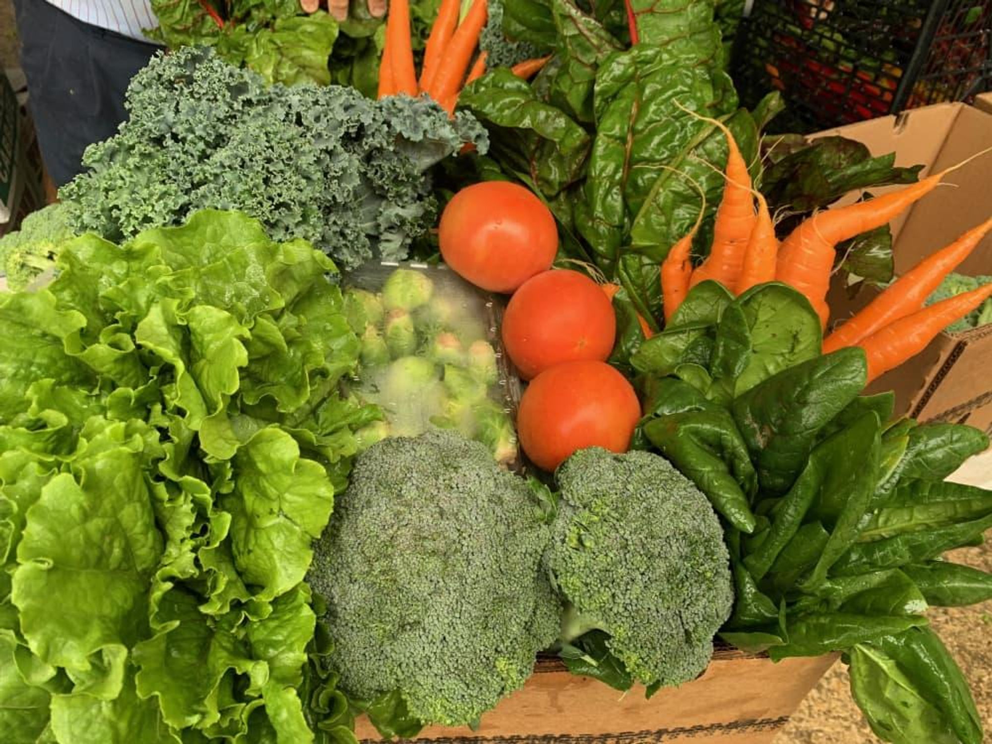 Urban Harvest produce