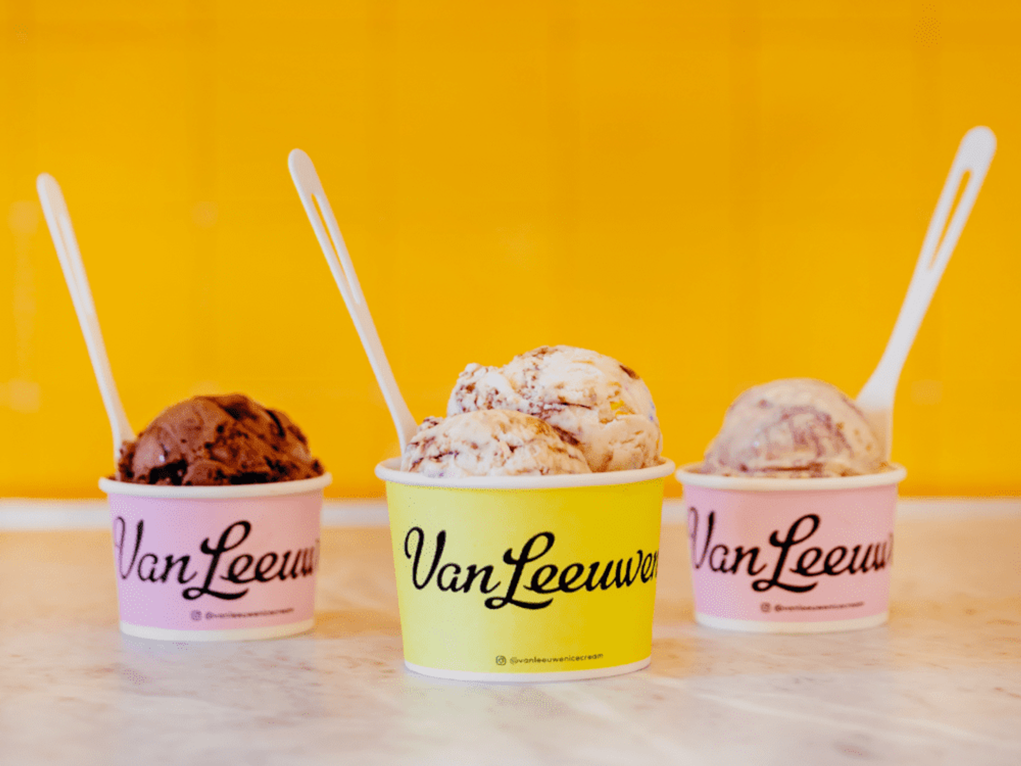 Van Leeuwen Launches New Line of Premium Ice Cream Bars in Dairy