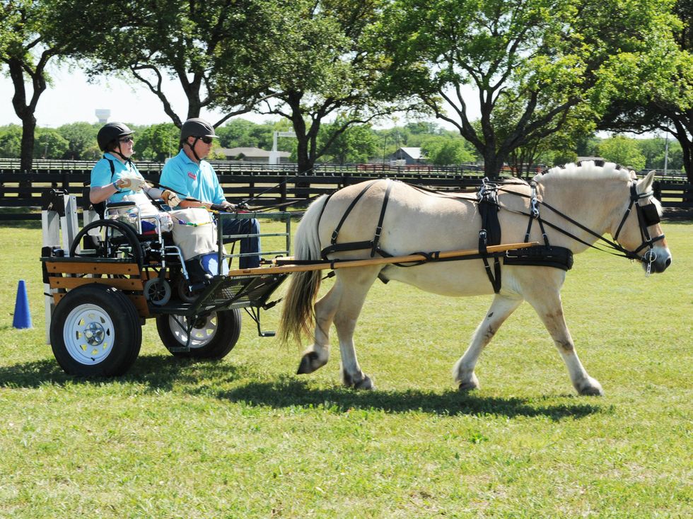 Victoria Friend, Chris Rinebarger, Zeus, Equest Gala