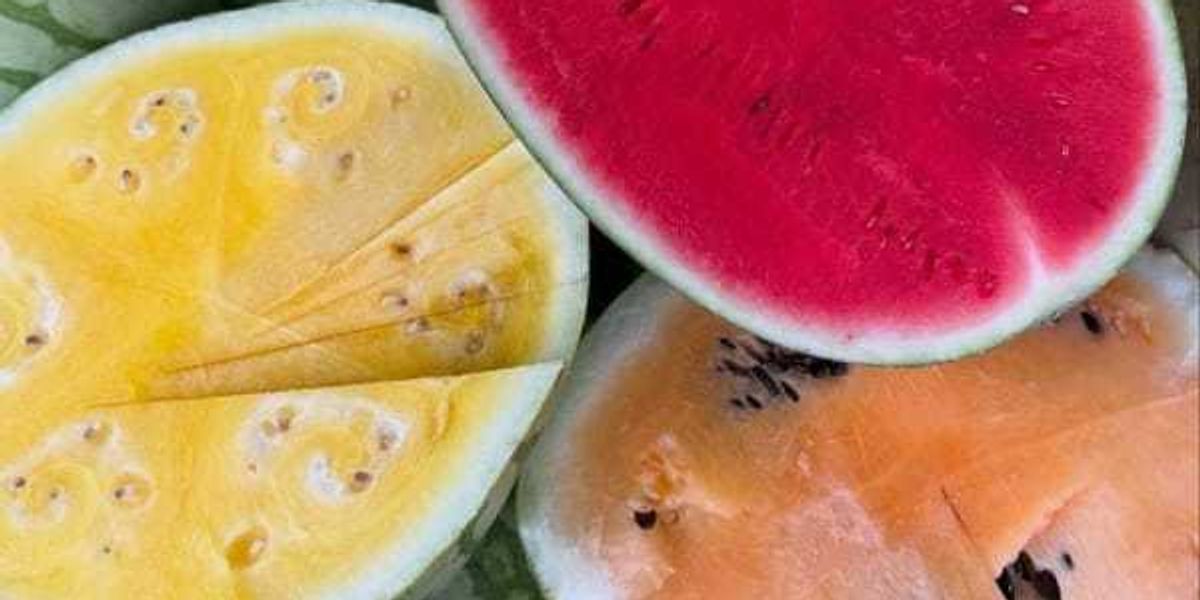 Watermelon fest sweetens 9 best food and drink events in Dallas this week