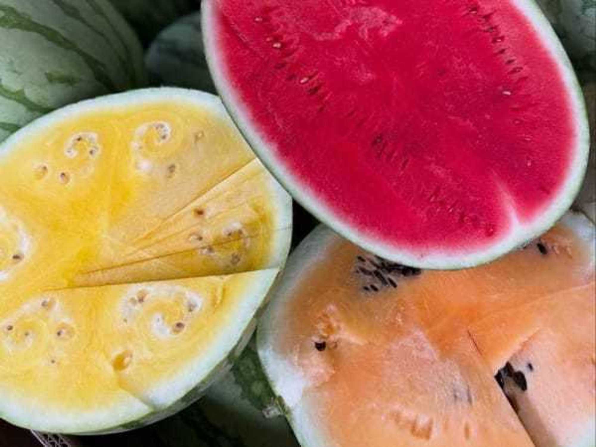 Watermelon