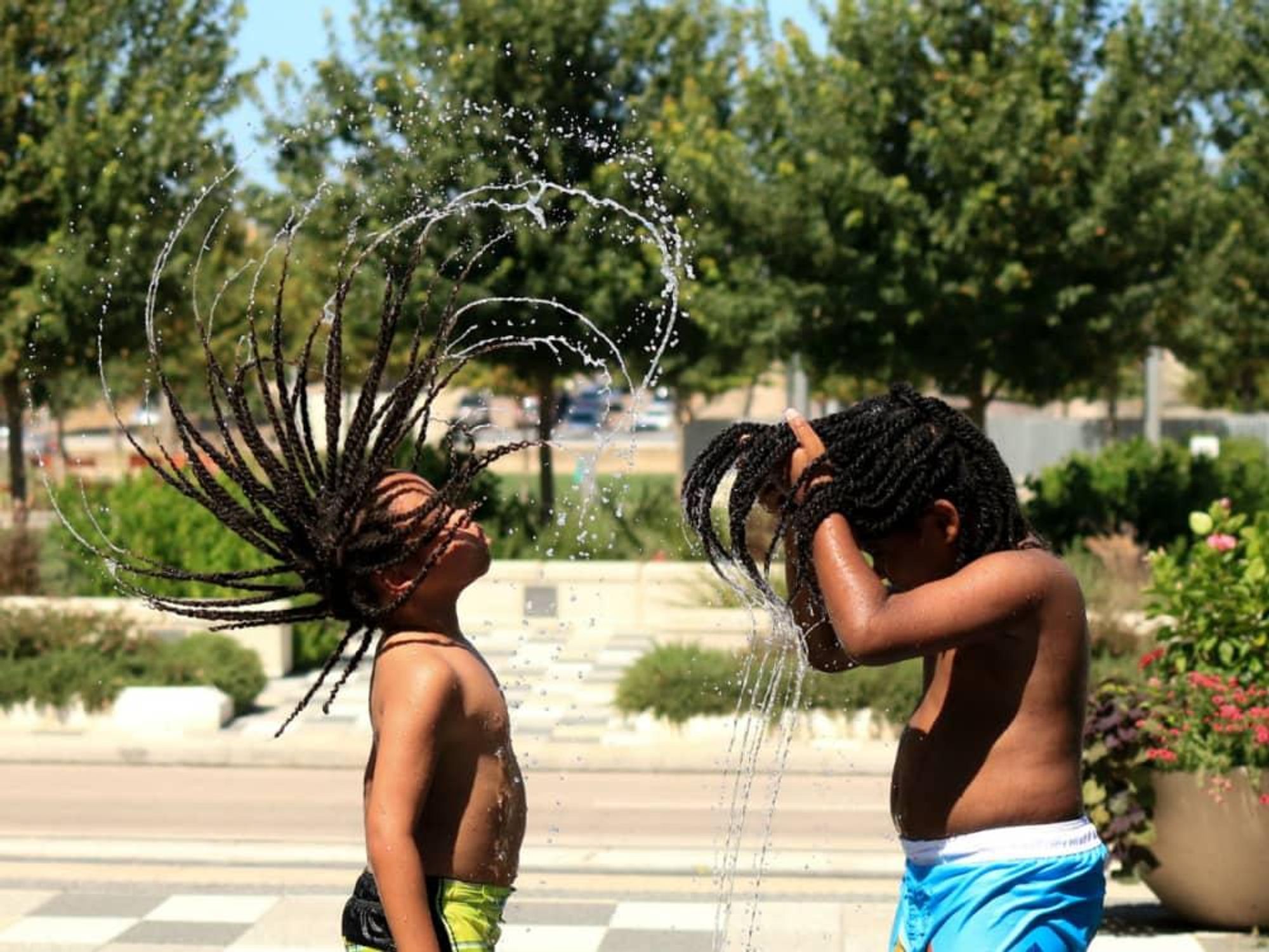 Wet and Wild by Barbara Brands