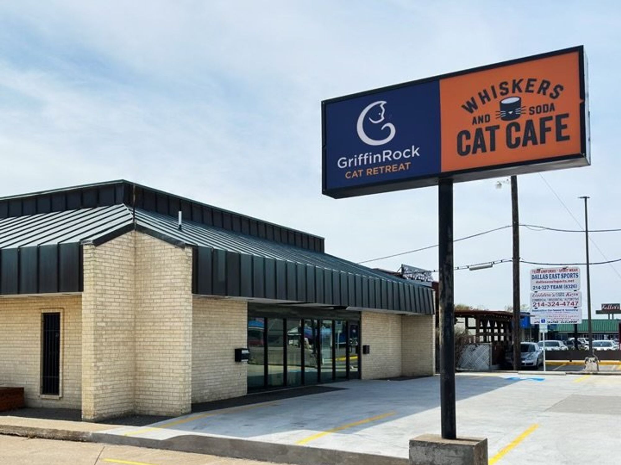 Whiskers & Soda Cat Cafe