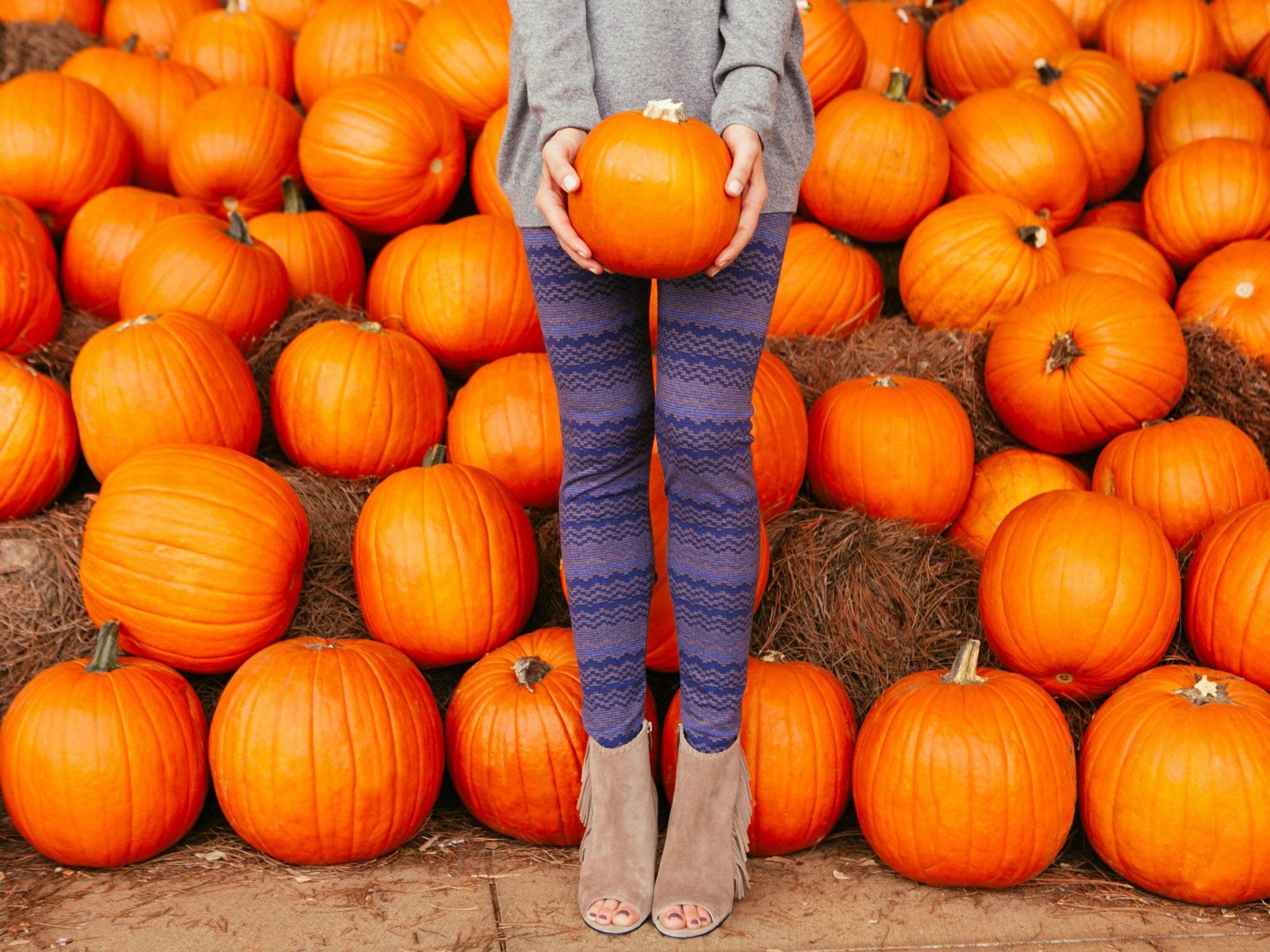 Women standing in a pumpkin patch