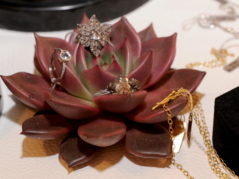 ylang 23, cathy waterman