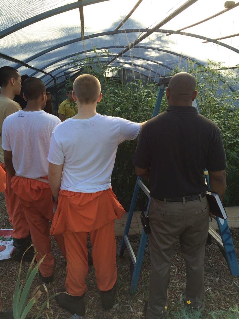 Young men in the Horticulture Therapy program manage the gardens at Youth Village