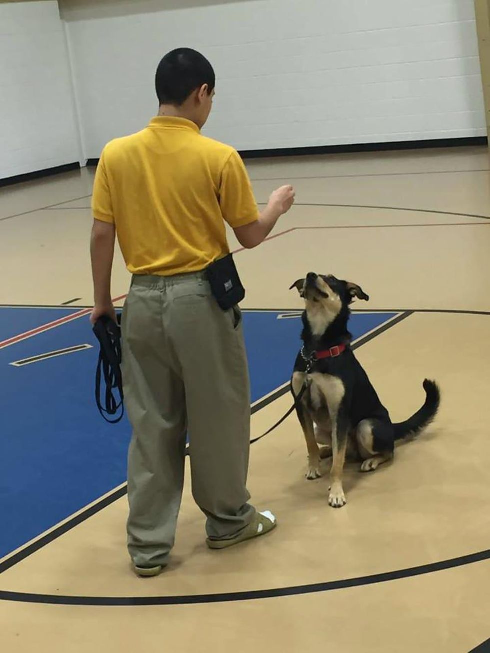 Youth With Faces PREP dog training program teaches patience, responsibility, empathy and partnership